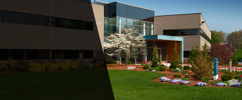 Baldwinsville Landscapers